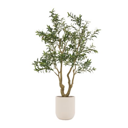Faux Plants - Faux Olive Tree in White Pot Faux Plants - Faux Olive Tree in White Pot