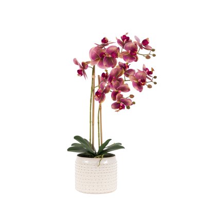 Faux Plants - Orchid in Moss Ceramic Dot Pot Pink Faux Plants - Orchid in Moss Ceramic Dot Pot Pink
