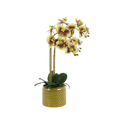 Faux Flowers - Orchid in Moss Ceramic Green Dot Pot Faux Flowers - Orchid in Moss Ceramic Green Dot Pot