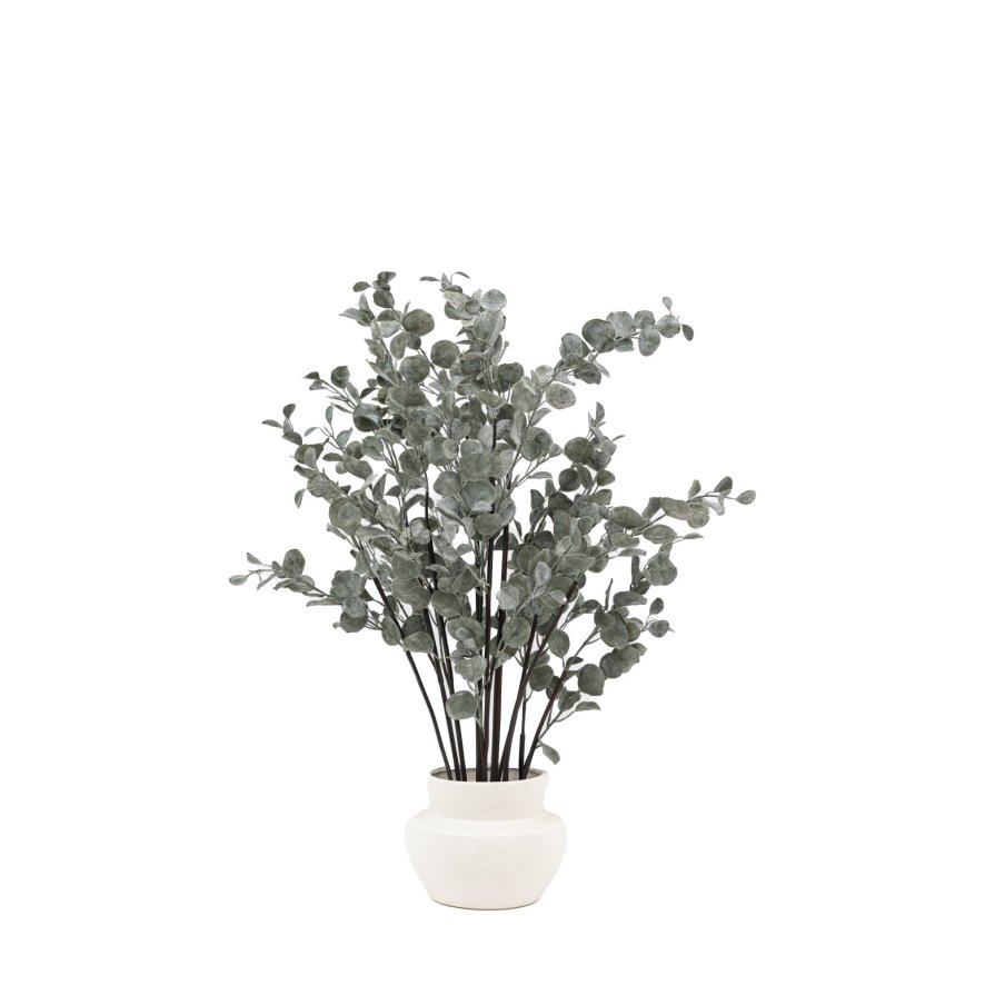 Faux Plants - Faux Eucalyptus in Ceramic Pot Ivory Faux Plants - Faux Eucalyptus in Ceramic Pot Ivory
