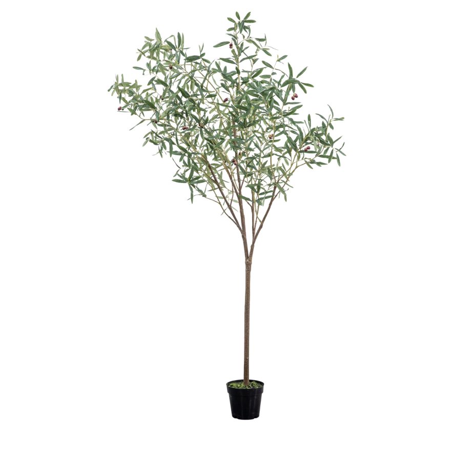 Faux Plants - Olive Tree Large Green H Faux Plants - Olive Tree Large Green H