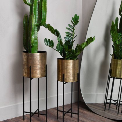 Clyde - Two Floor Standing Brass Planters on Black Stands