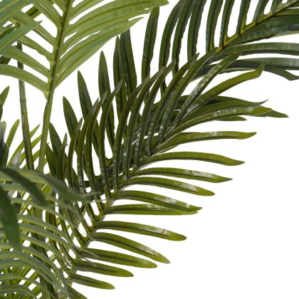 Accessories - Faux Areca Palm (6ft)