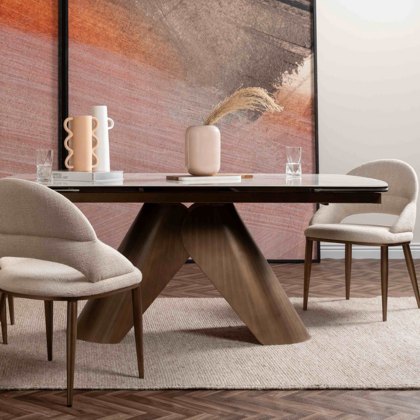 Dynasty - Tara Dining Chair Dynasty - Tara Dining Chair