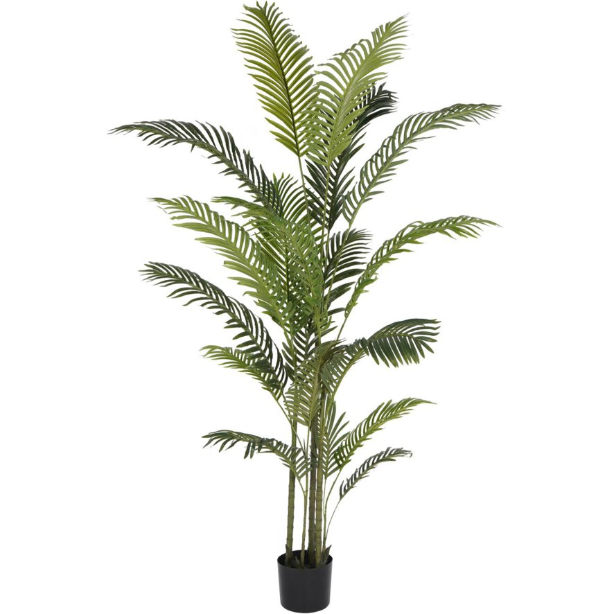 Libra Accessories - Faux Areca Palm (6ft)