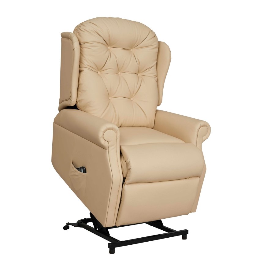 Celebrity Celebrity Woburn - Petite Single Motor Rise and Recliner