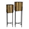 Libra Clyde - Two Floor Standing Brass Planters on Black Stands