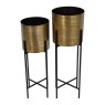 Libra Clyde - Two Floor Standing Brass Planters on Black Stands