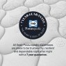 Sealy Sealy Fleming (Firm) - Mattress